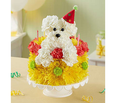 Birthday Wishes Flower Cake™ Pupcake™