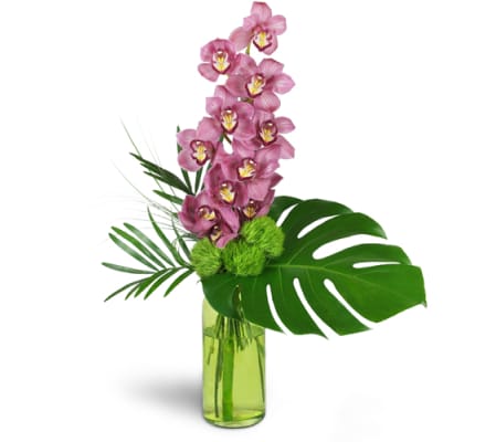 Blushing Grace Orchids™