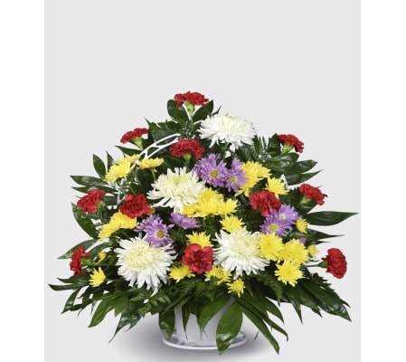 Celebration of Life