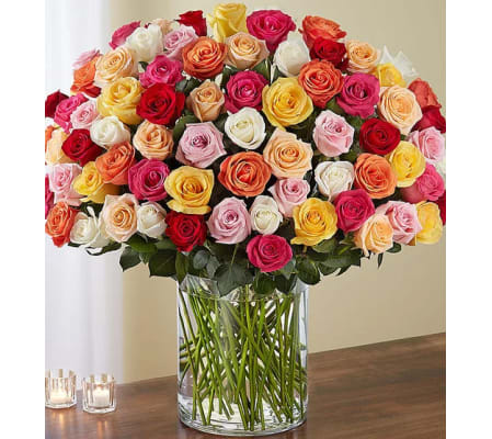 100 Premium Long Stem Multicolored Roses