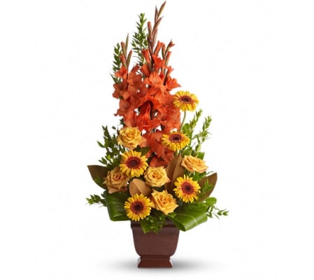 Teleflora's Sentimental Dreams