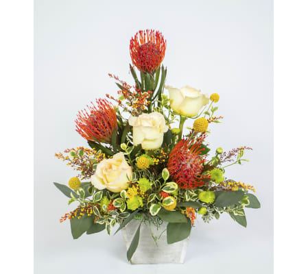 Stunning Protea