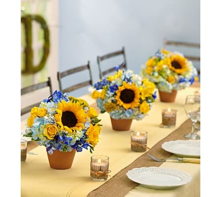 Country Wedding Centerpiece Package
