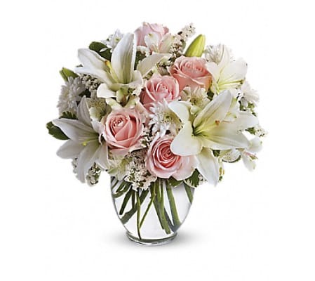 Elegant and Soft