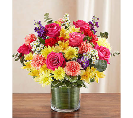 Cherished Memories™ – Multicolor Bright
