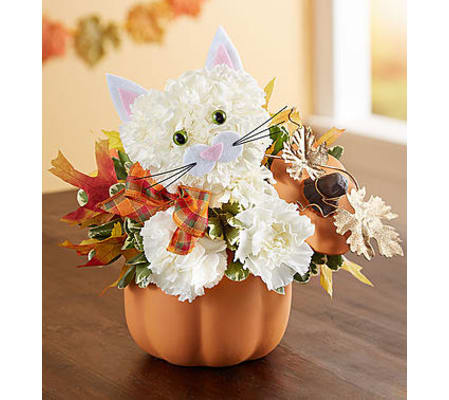 Fabulous Feline™ for Fall