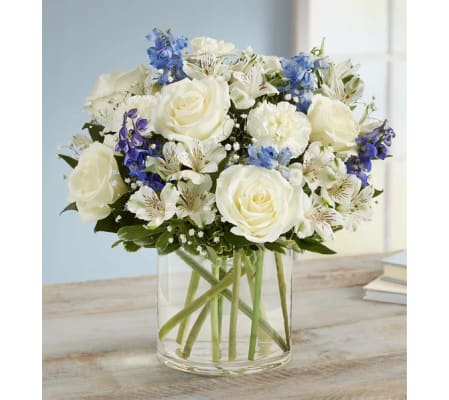 Loving Sentiments™ Blue & White - Extra Large