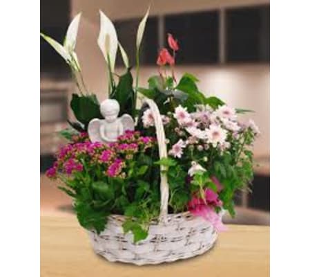 LIVING BASKET WITH ANGEL