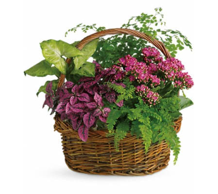 Secret Garden Basket
