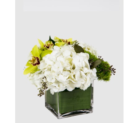 Romantic Green