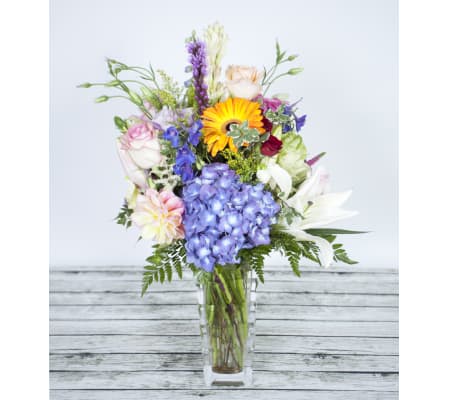 Filed of Blooms