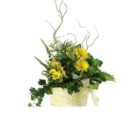 Planter with fresh cut flowers