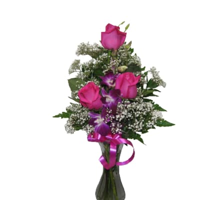 Pretti Pink and purple