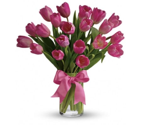 Precious Pink Tulips