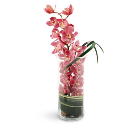 Peaceful Pink Orchids