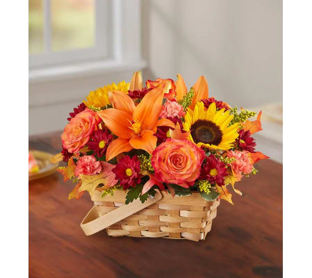 Fields of Europe™ for Fall Basket