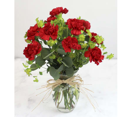 Classic Red Carnation Arrangement