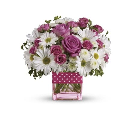 Dots and Posies