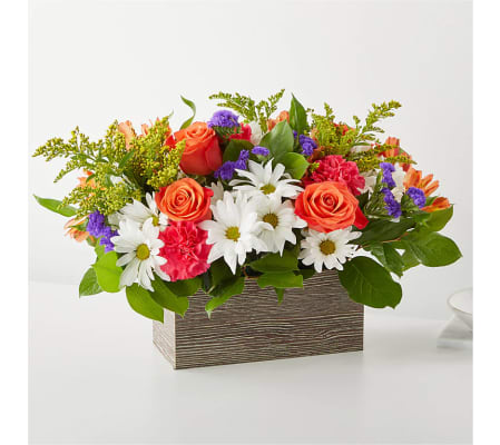 The Oopsie Daisy Box Bouquet XL