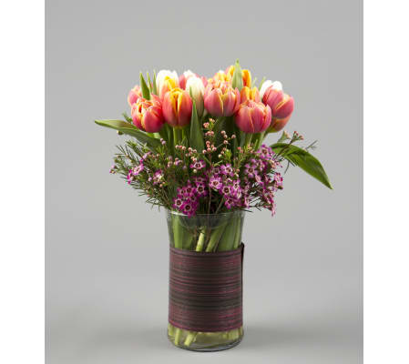 Tulip Surprise