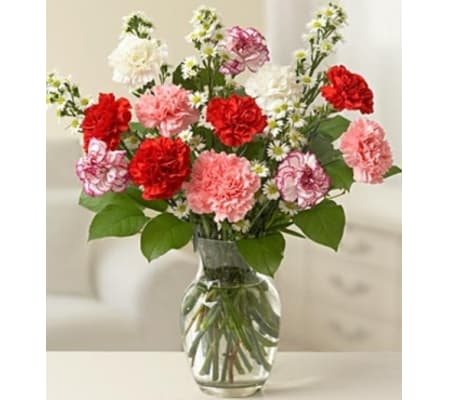 One Dozen Carnations
