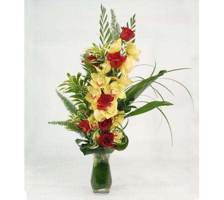 Vibrant Elegance