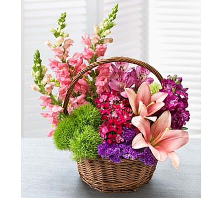 Garden Basket