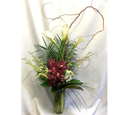 Orchid Fest