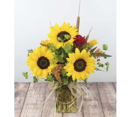 Sunflower Daydream