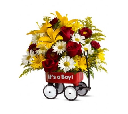 Babys First Wagon- Boy TF