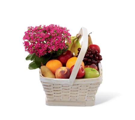 The FTD® Garden's Paradise™ Basket
