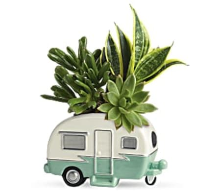 Cool Camper Succulent Garden