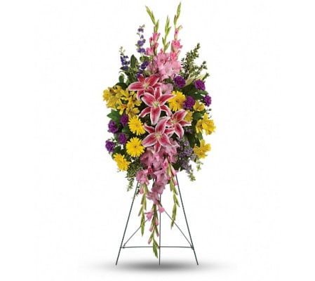 Rainbow Of Remembrance Spray