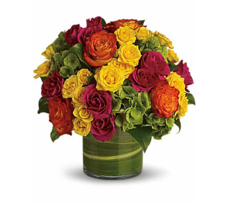 SUMMERTIME ROSES