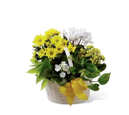 The FTD® A Bit of Sunshine™ Basket