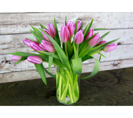 Pretty Pink Tulips