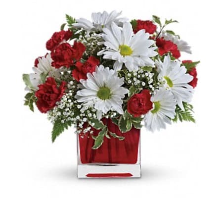 SPECIAL SOMEONE