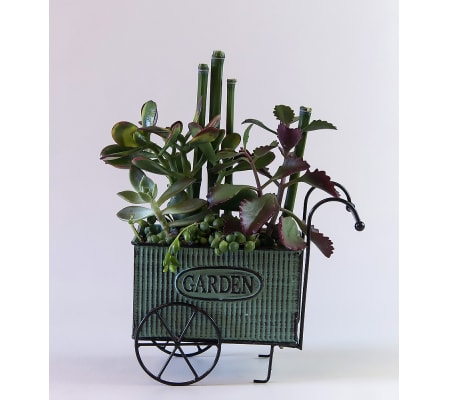 Succulent Garden Cart