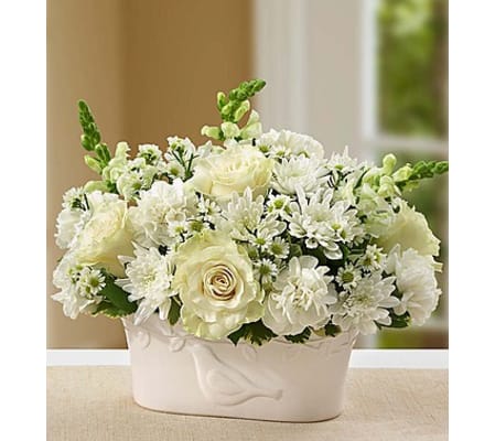 Peace and Healing™ White