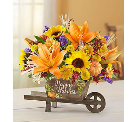 Happy Harvest Wheelbarrow
