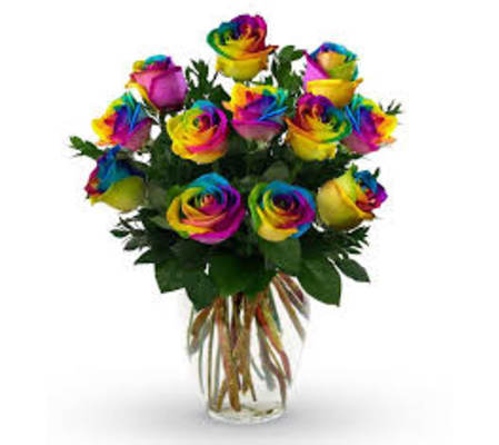 Rainbow rose Dream