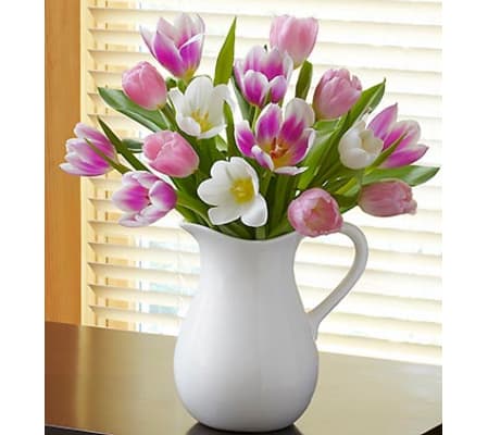 Pitcher Full of Tulips