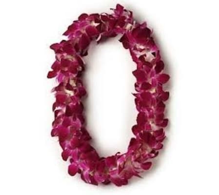 Orchid Lei