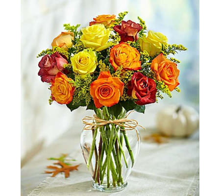 Rose Elegance™ Premium Long Stem Autumn Roses