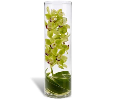 Zensational Orchid Vase