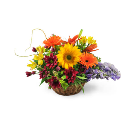 Basket of Wishes