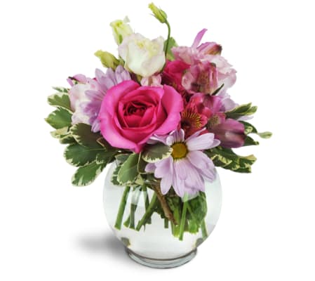 Fondly Fuchsia™