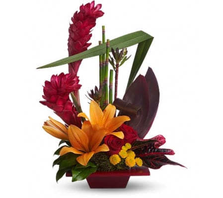 Teleflora's Tropical Bliss