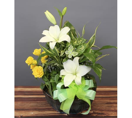 Lovely Dish Garden