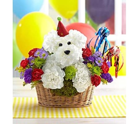 HAPPY BIRTHDAY DOG LOVER'S